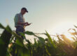 How Propane Helps Farms and Agricultural Businesses Stay Productive
