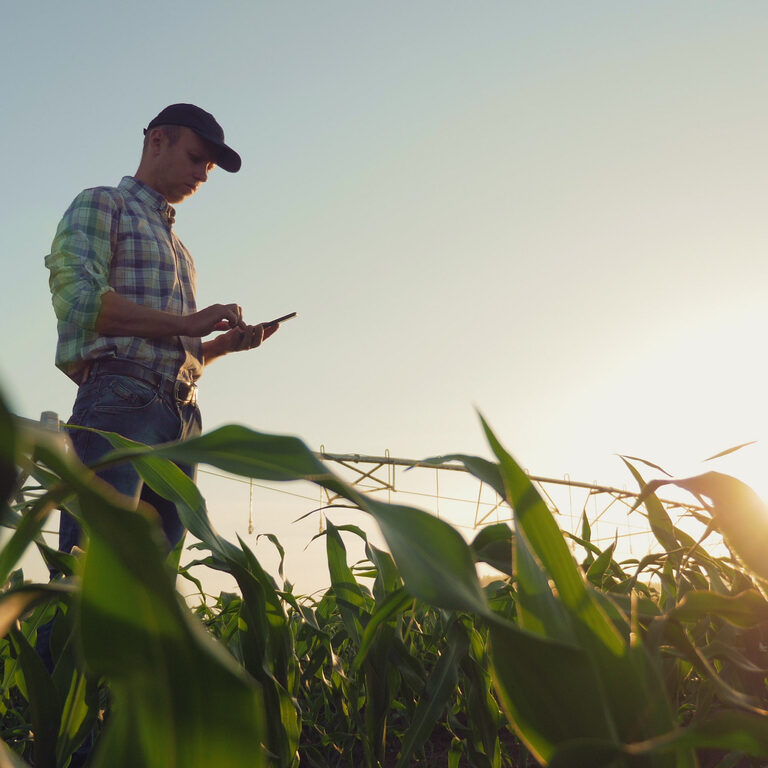 How Propane Helps Farms and Agricultural Businesses Stay Productive